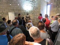 Les Pyrénées cathares 1