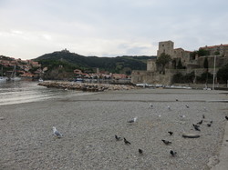 Les Pyrénées orientales & la Côte Vermeille
