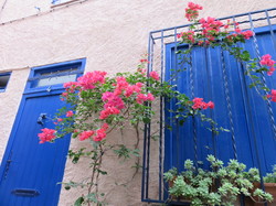 Les Pyrénées orientales & la Côte Vermeille