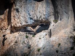 Les Vautours de la Nesque