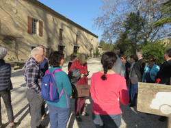 Maillane, sur les pas de Frédéric Mistral