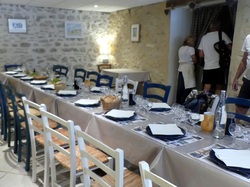 Les orchidées sauvages