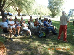 Les orchidées sauvages