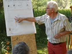 Les orchidées sauvages