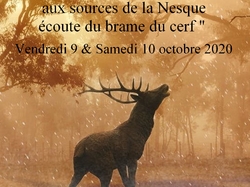 Parcours naturaliste aux Sources de la Nesque