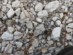 Parcours naturaliste aux Sources de la Nesque