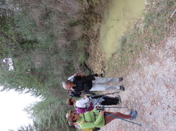 Parcours naturaliste aux Sources de la Nesque