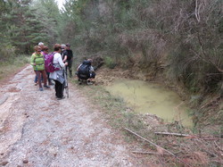 Parcours naturaliste aux Sources de la Nesque