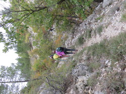 Parcours naturaliste aux Sources de la Nesque