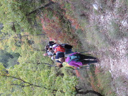 Parcours naturaliste aux Sources de la Nesque