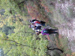 Parcours naturaliste aux Sources de la Nesque