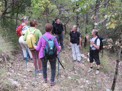 Parcours naturaliste aux Sources de la Nesque