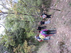 Parcours naturaliste aux Sources de la Nesque