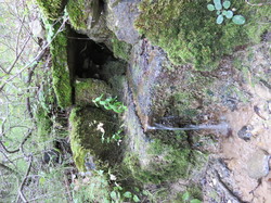 Parcours naturaliste aux Sources de la Nesque