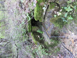 Parcours naturaliste aux Sources de la Nesque