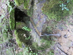 Parcours naturaliste aux Sources de la Nesque