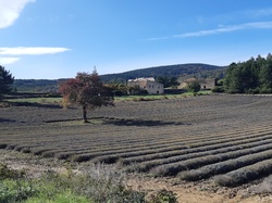 Parcours naturaliste aux Sources de la Nesque
