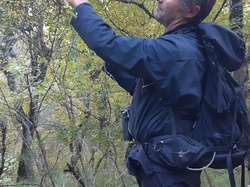 Parcours naturaliste aux Sources de la Nesque