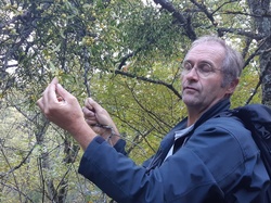 Parcours naturaliste aux Sources de la Nesque