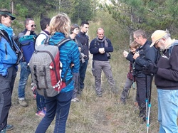 Parcours naturaliste aux Sources de la Nesque
