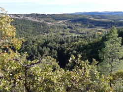 Parcours naturaliste aux Sources de la Nesque