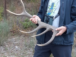 Parcours naturaliste aux Sources de la Nesque