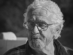 Plantes remarquables des Gorges de la Nesque à Méthamis