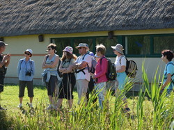 Réserve naturelle de Scamandre 2