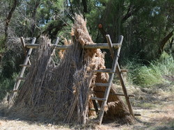 Réserve naturelle de Scamandre 2