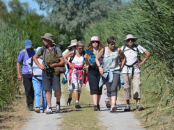 Réserve naturelle de Scamandre 2