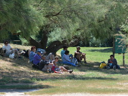 Réserve naturelle de Scamandre 2