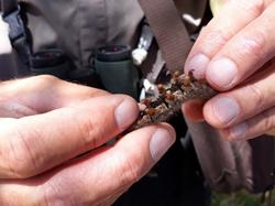 Réserve naturelle de Scamandre 2