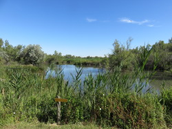 Réserve naturelle de Scamandre 1