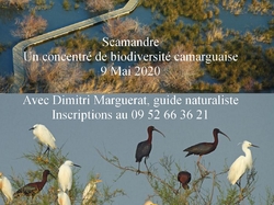 Réserve naturelle de Scamandre 1