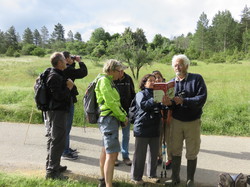 Sorties découverte biodiversité Gorges de la Nesque