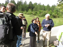 Sorties découverte biodiversité Gorges de la Nesque