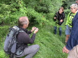 Sorties découverte biodiversité Gorges de la Nesque