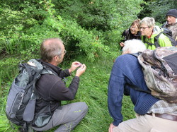 Sorties découverte biodiversité Gorges de la Nesque