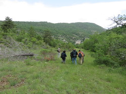 Sorties découverte biodiversité Gorges de la Nesque