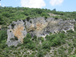 Sorties découverte biodiversité Gorges de la Nesque