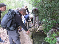 Sorties découverte biodiversité Gorges de la Nesque