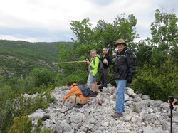 Sorties découverte biodiversité Gorges de la Nesque