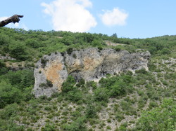 Sorties découverte biodiversité Gorges de la Nesque