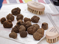 Sortie Richerenches & Valréas