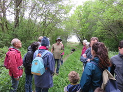 Sortie salades sauvages avec Jean Christophe Raffin