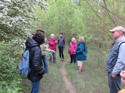 Sortie salades sauvages avec Jean Christophe Raffin