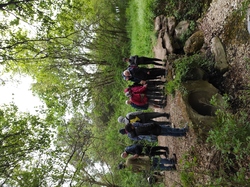 Sortie salades sauvages avec Jean Christophe Raffin