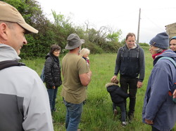 Sortie salades sauvages avec Jean Christophe Raffin