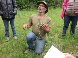 Sortie salades sauvages avec Jean Christophe Raffin