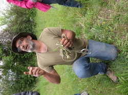 Sortie salades sauvages avec Jean Christophe Raffin